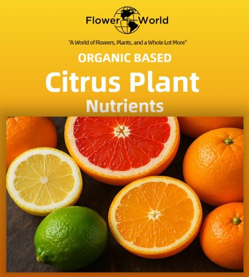 Fertilizer & Amendments