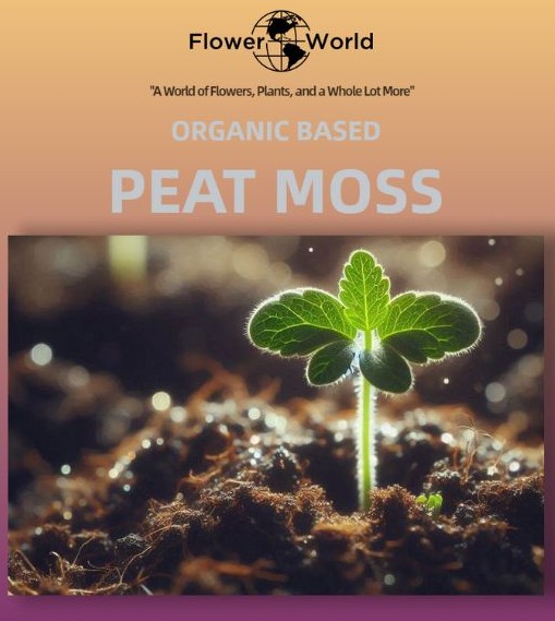 Fertilizer & Amendments