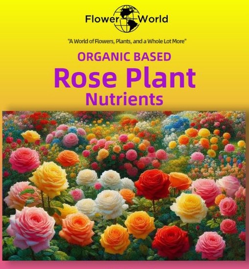 Fertilizer & Amendments