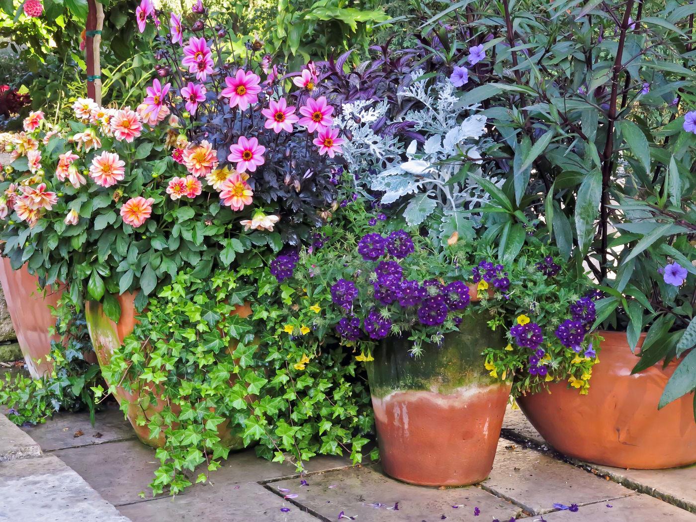 Baskets and Containers