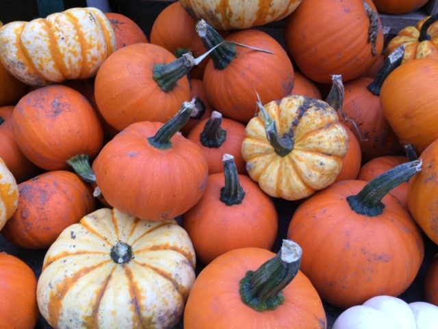 Pumpkins, Gourds, and More