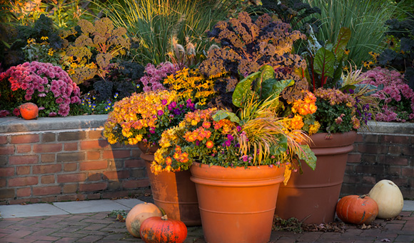 fall containers 2024