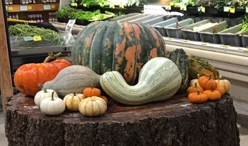 Pumpkins, Gourds, and More