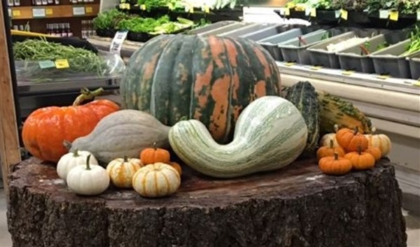 Garden-Center-Images/gourds--new.jpg